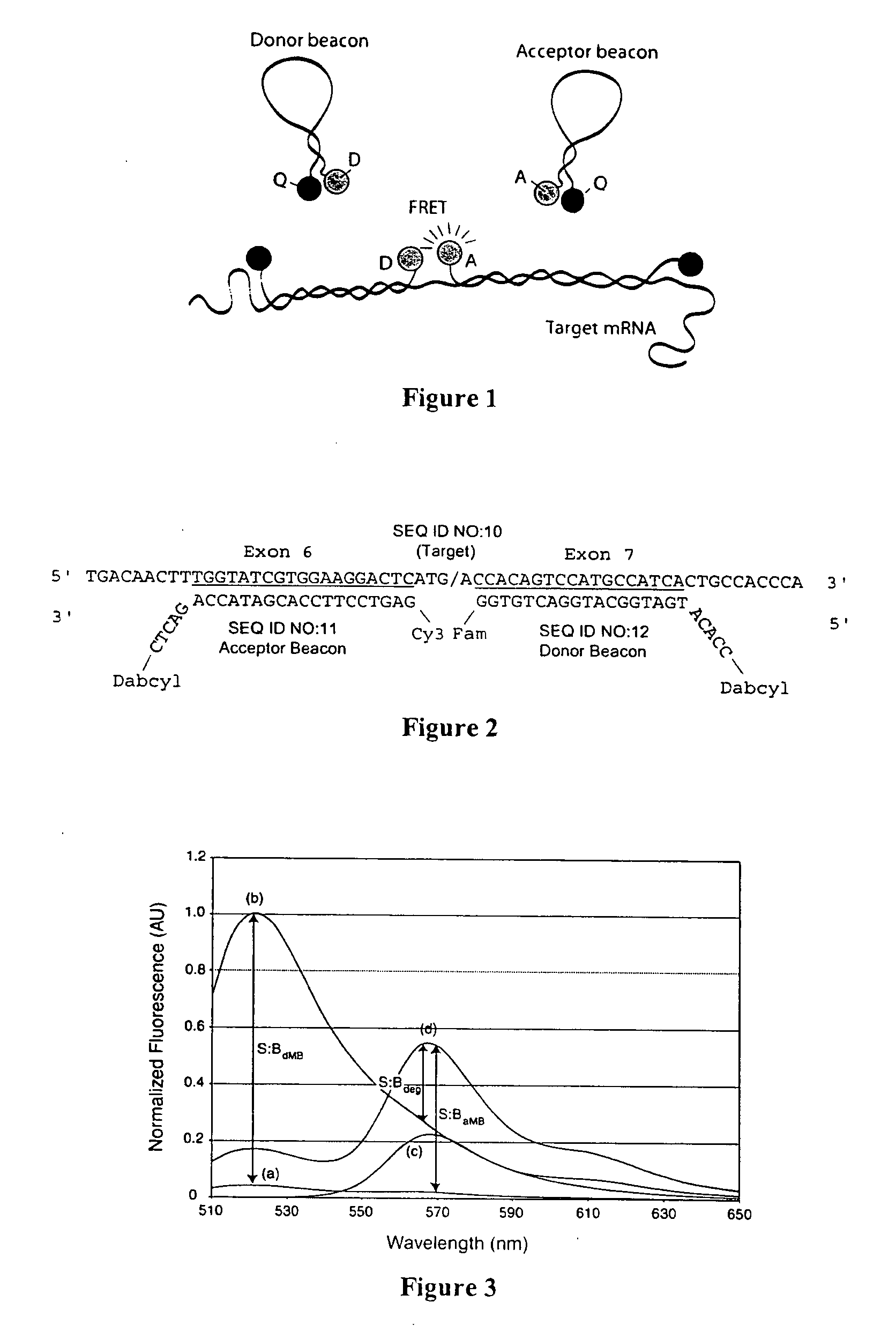 Dual resonance energy transfer nucleic acid probes