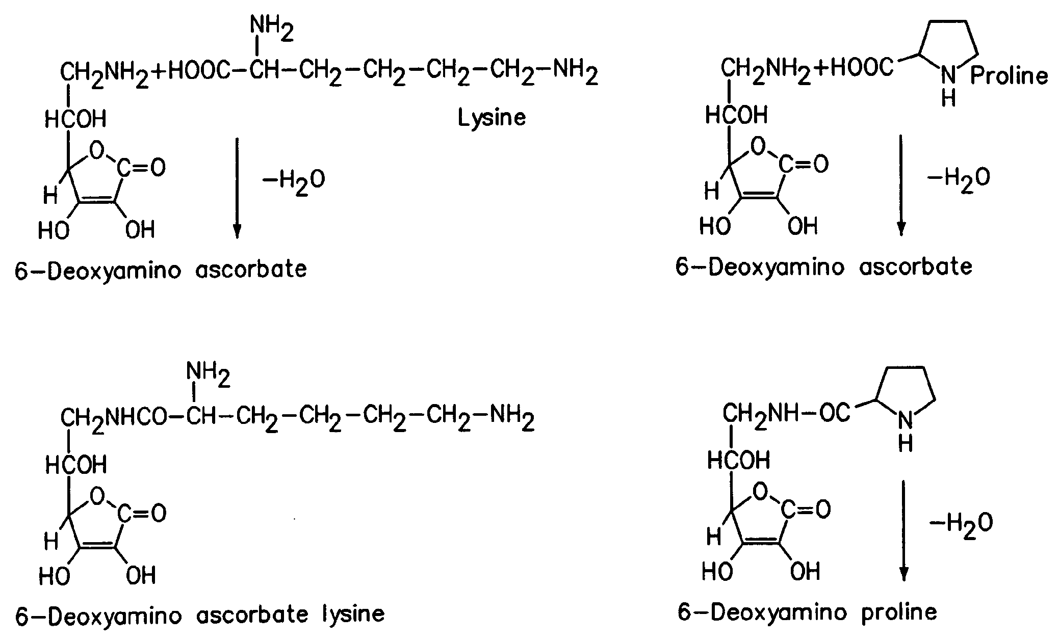 Novel ascorbic acid compounds, methods of synthesis and application use thereof