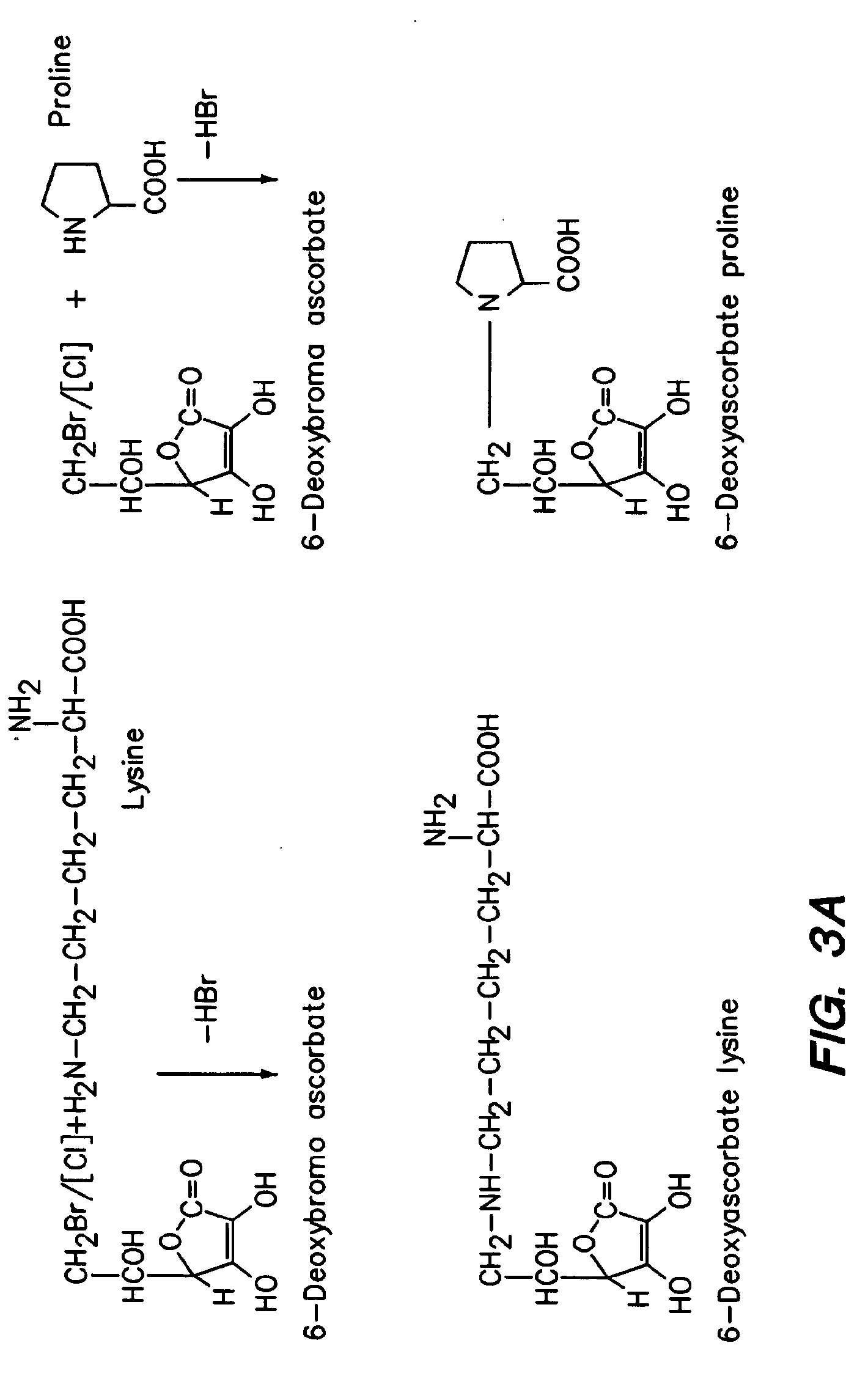 Novel ascorbic acid compounds, methods of synthesis and application use thereof