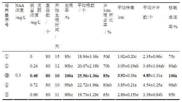 Method for regulating and controlling peltate yam rhizome triploid plants to root