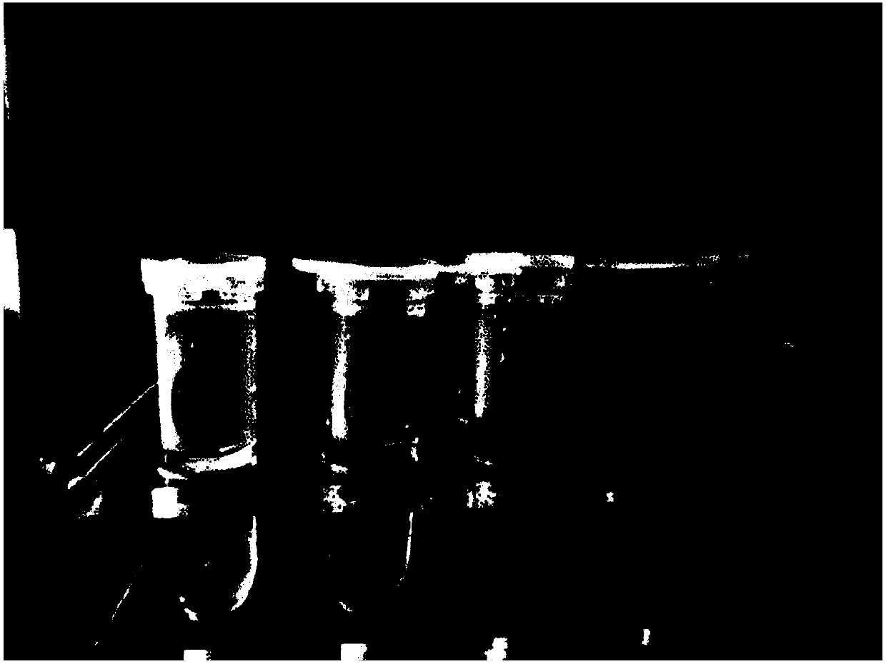 Dicofol residue rapid detection method and kit thereof