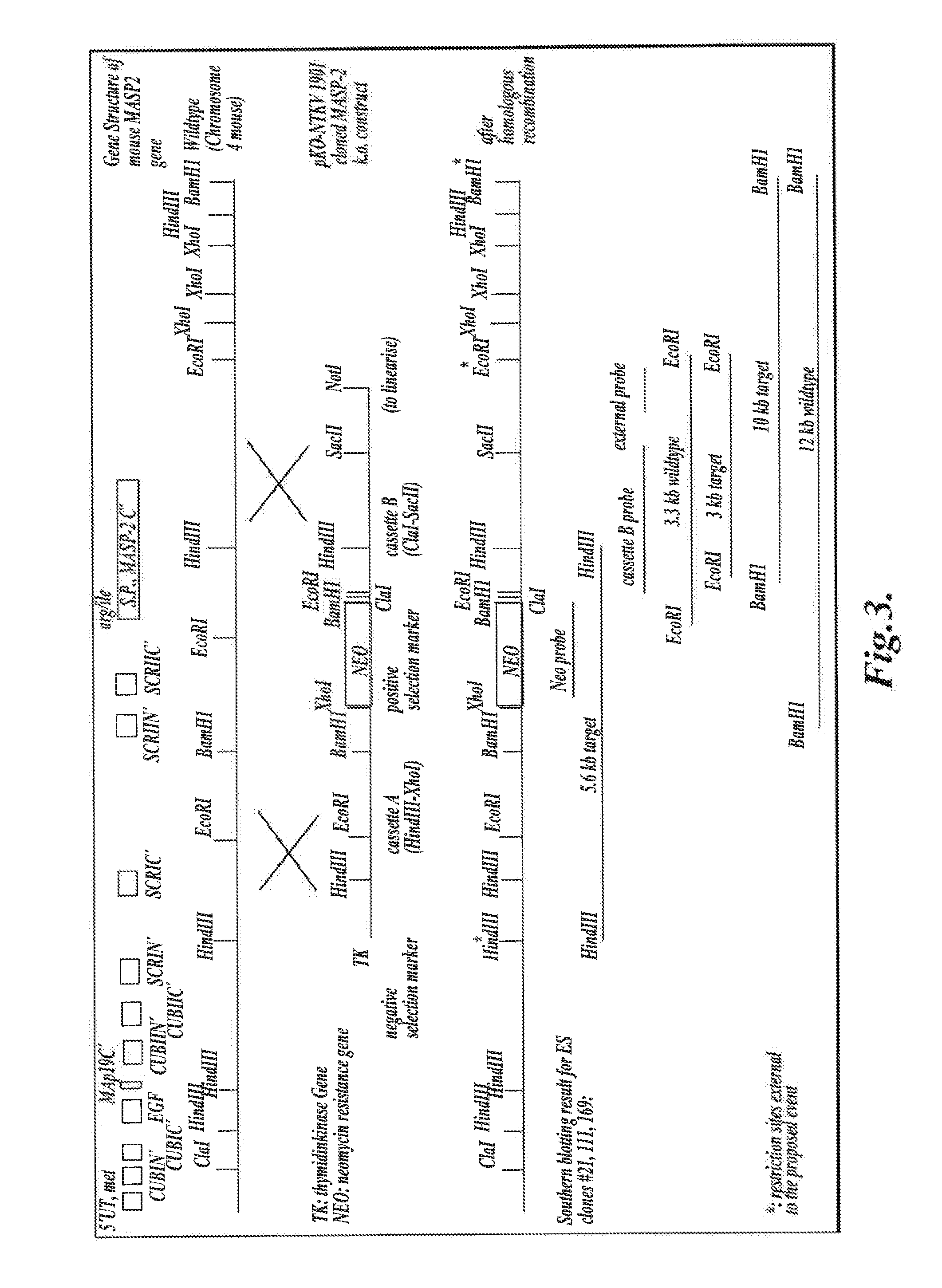 Methods for Treating Conditions Associated with MASP-2 Dependent Complement Activation