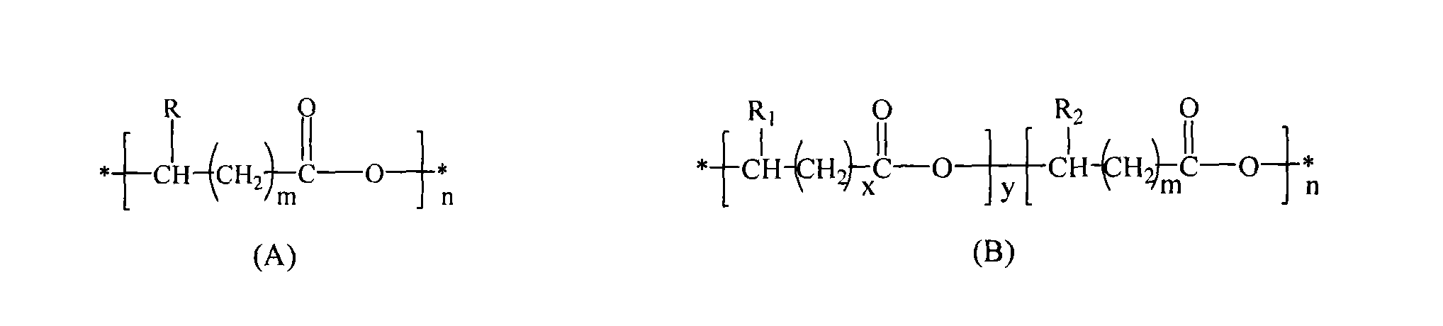 Composite material of shell micro powder filling bio-based resin and method for preparing same