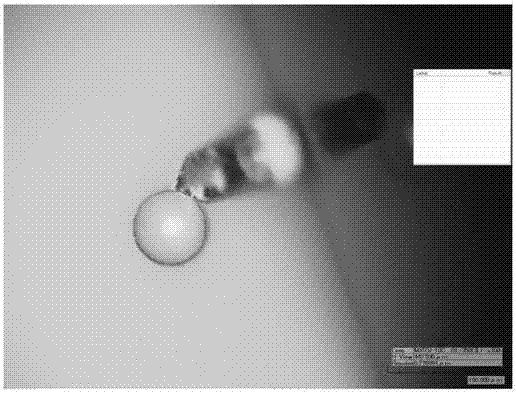 Optical super-resolution imaging system based on inverted microscope and micro-sphere lens and dynamic imaging method using same