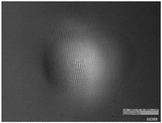 Optical super-resolution imaging system based on inverted microscope and micro-sphere lens and dynamic imaging method using same