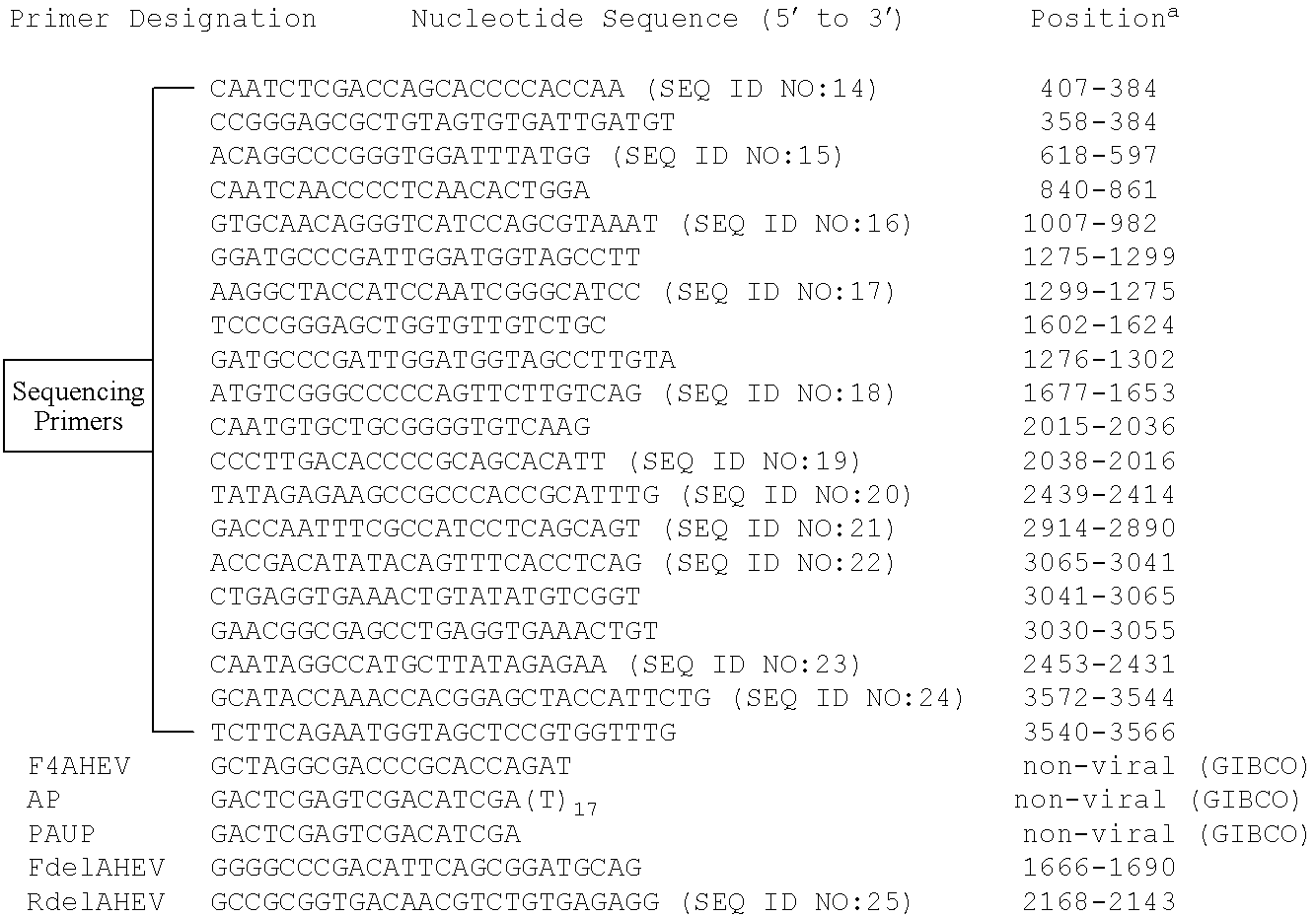 Avian hepatitis E virus, vaccines and methods of protecting against avian hepatitis-splenomegaly syndrome and mammalian hepatitis E