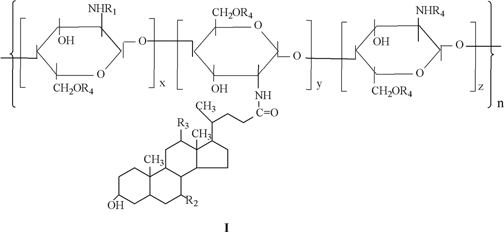 Amphipathic chitosan-bile acid derivatives and preparation method thereof