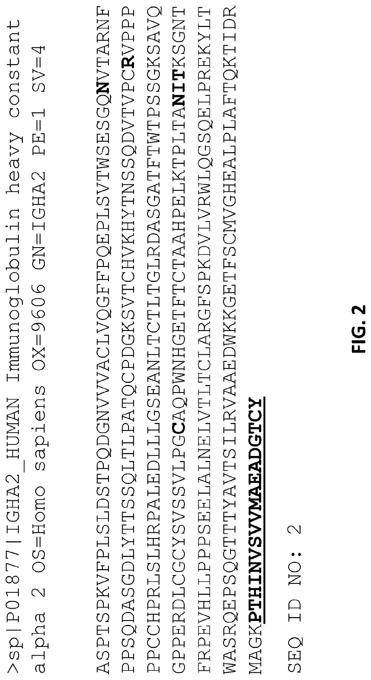 Engineered iga antibodies and methods of use