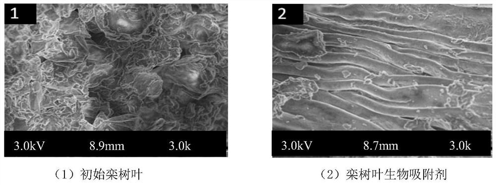 A method for preparing phosphorus removal adsorbent by microwave-assisted salting-out method