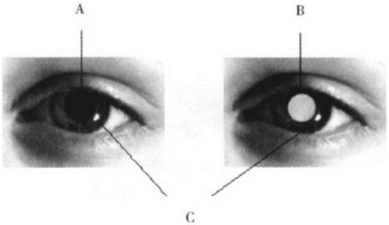 Method and device for taking photos through dual-camera terminal and dual-camera terminal