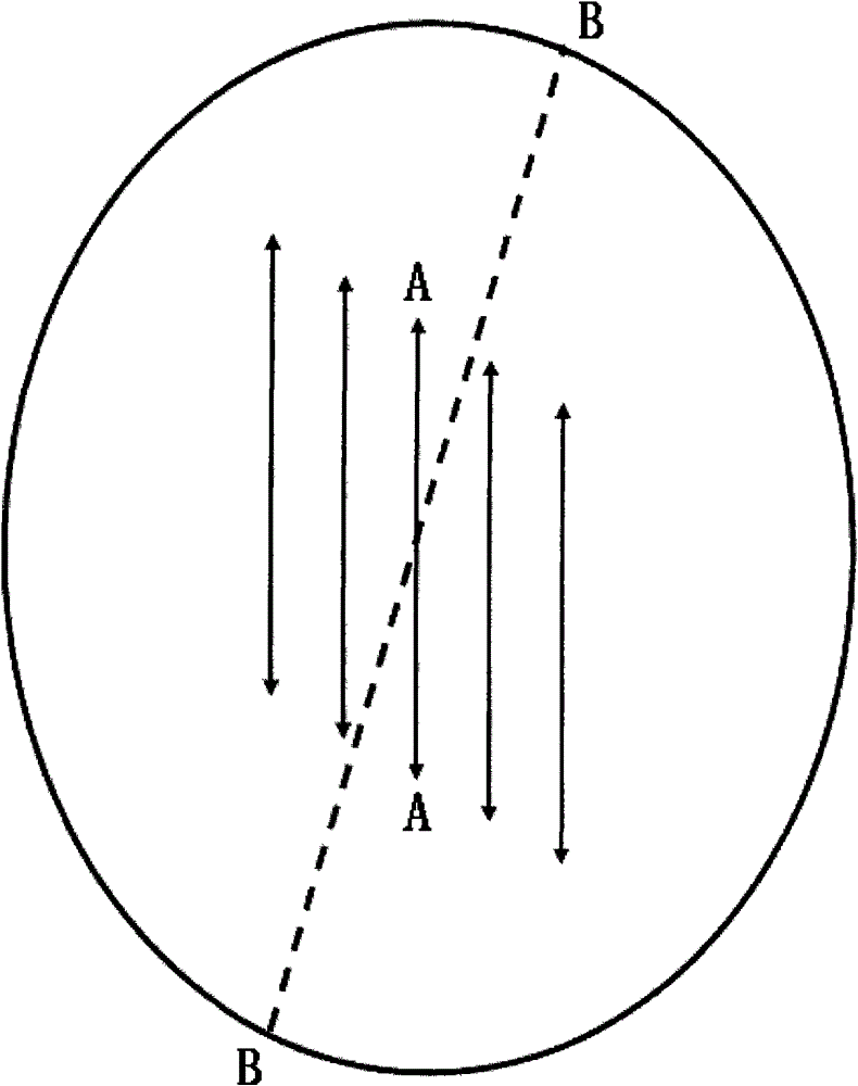 Method and equipment for preparing dumplings