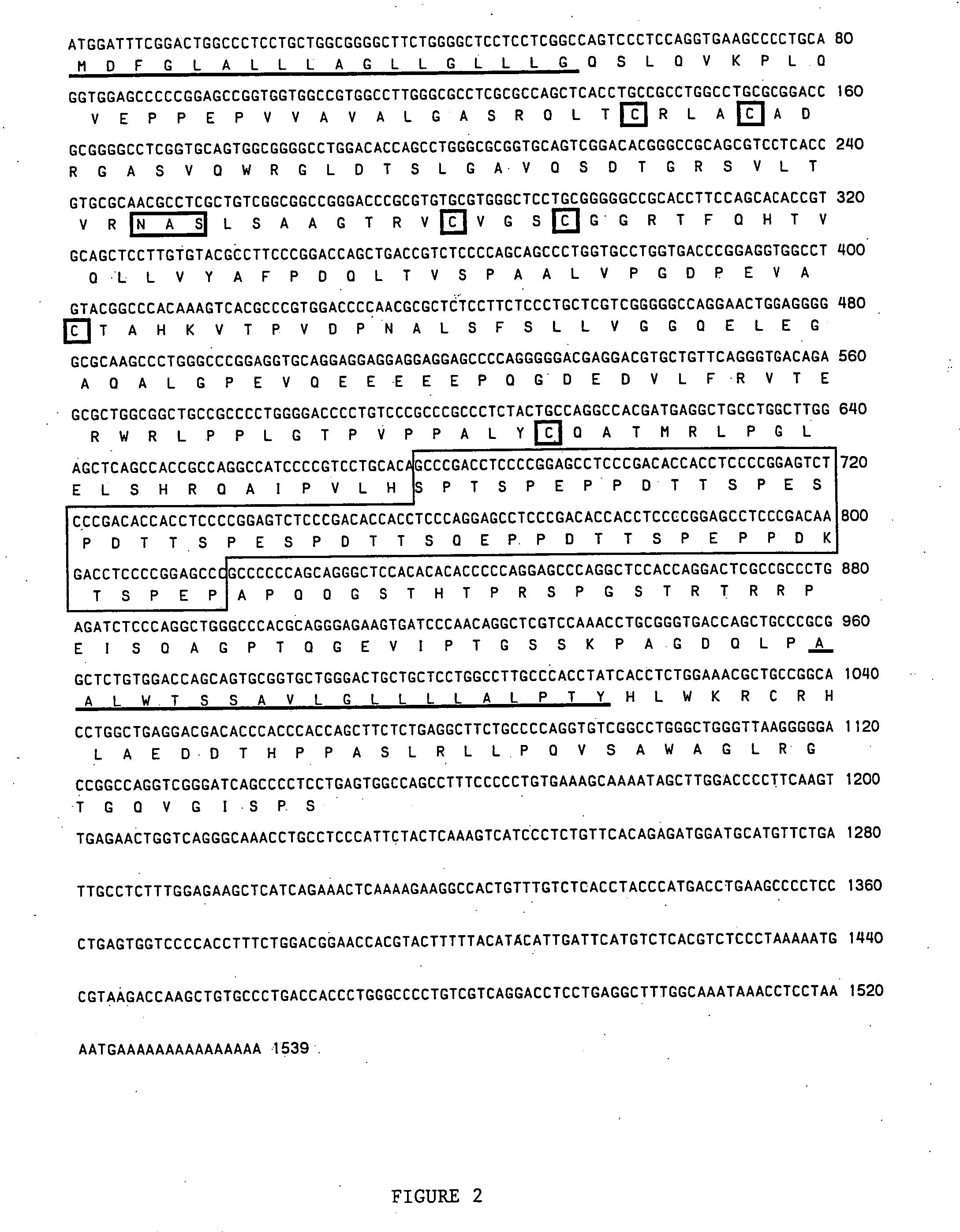 Mucosal vascular addressins and uses thereof