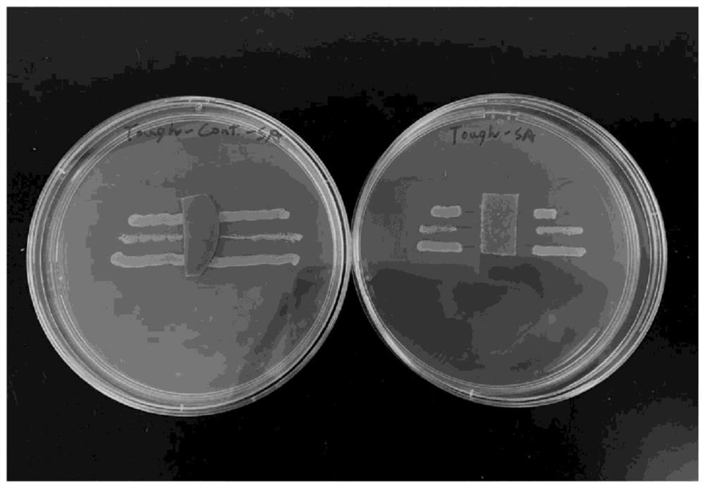 3D printing antibacterial product