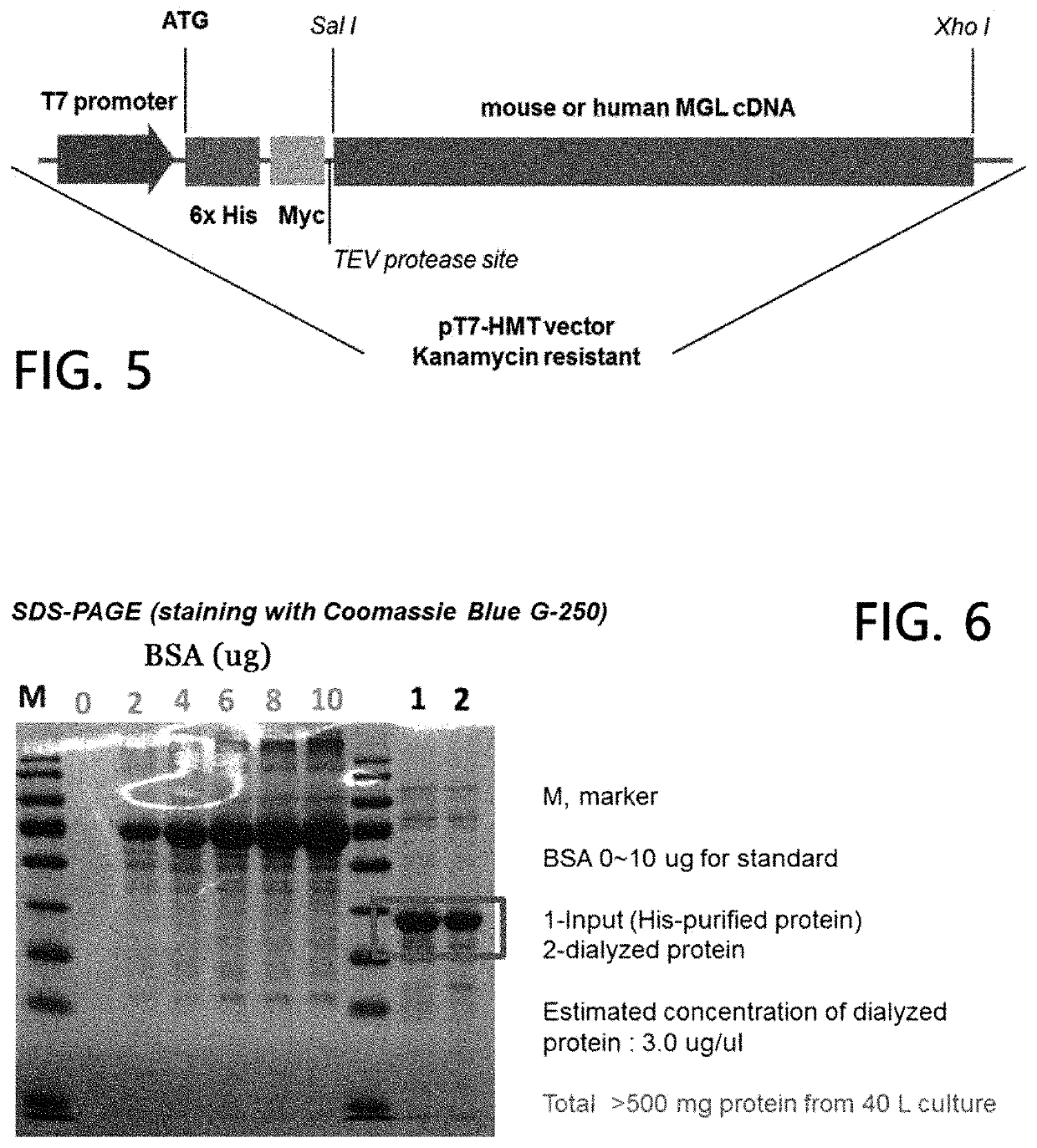 Method for treatment of liver steatosis or non-alcoholic fatty liver by using 2-monoacylglycerol cleaving enzyme