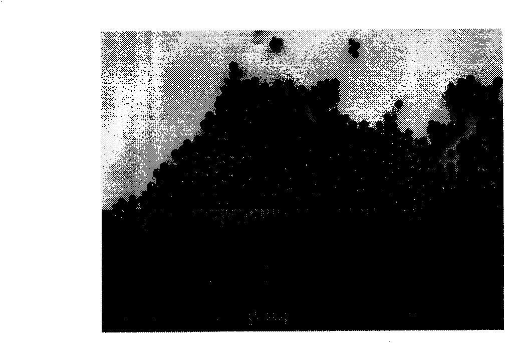 One-step preparation method for synthesizing black expandable polystyrene particles