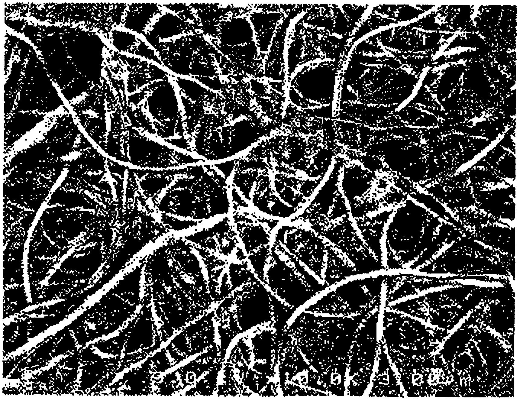 Laminated porous film, separator for battery, and battery