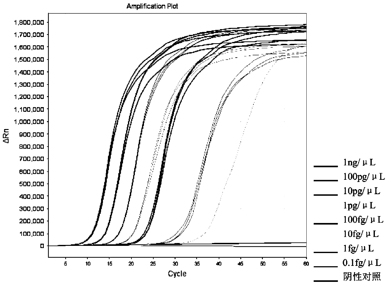 LAMP detection kit for actinobacillus pleuropneumoniae