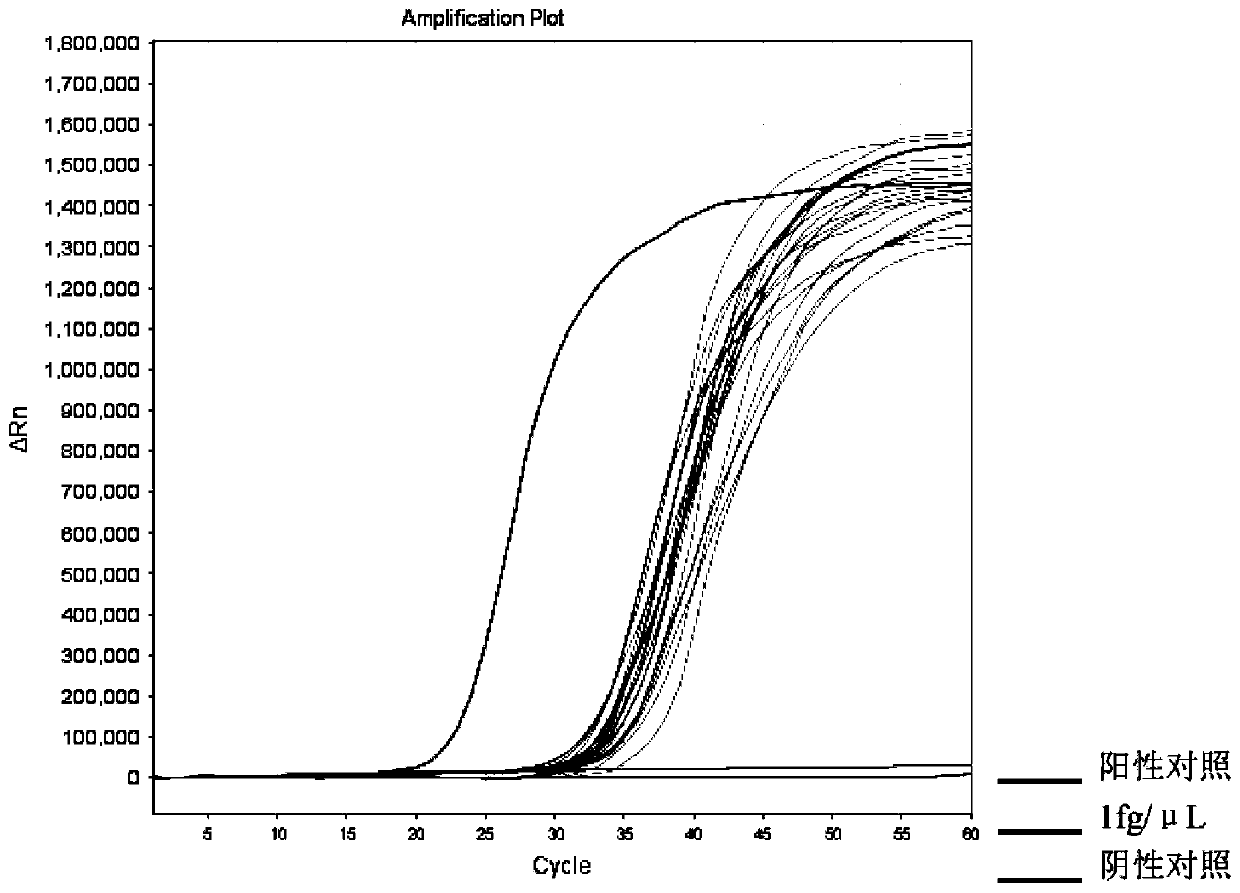 LAMP detection kit for actinobacillus pleuropneumoniae