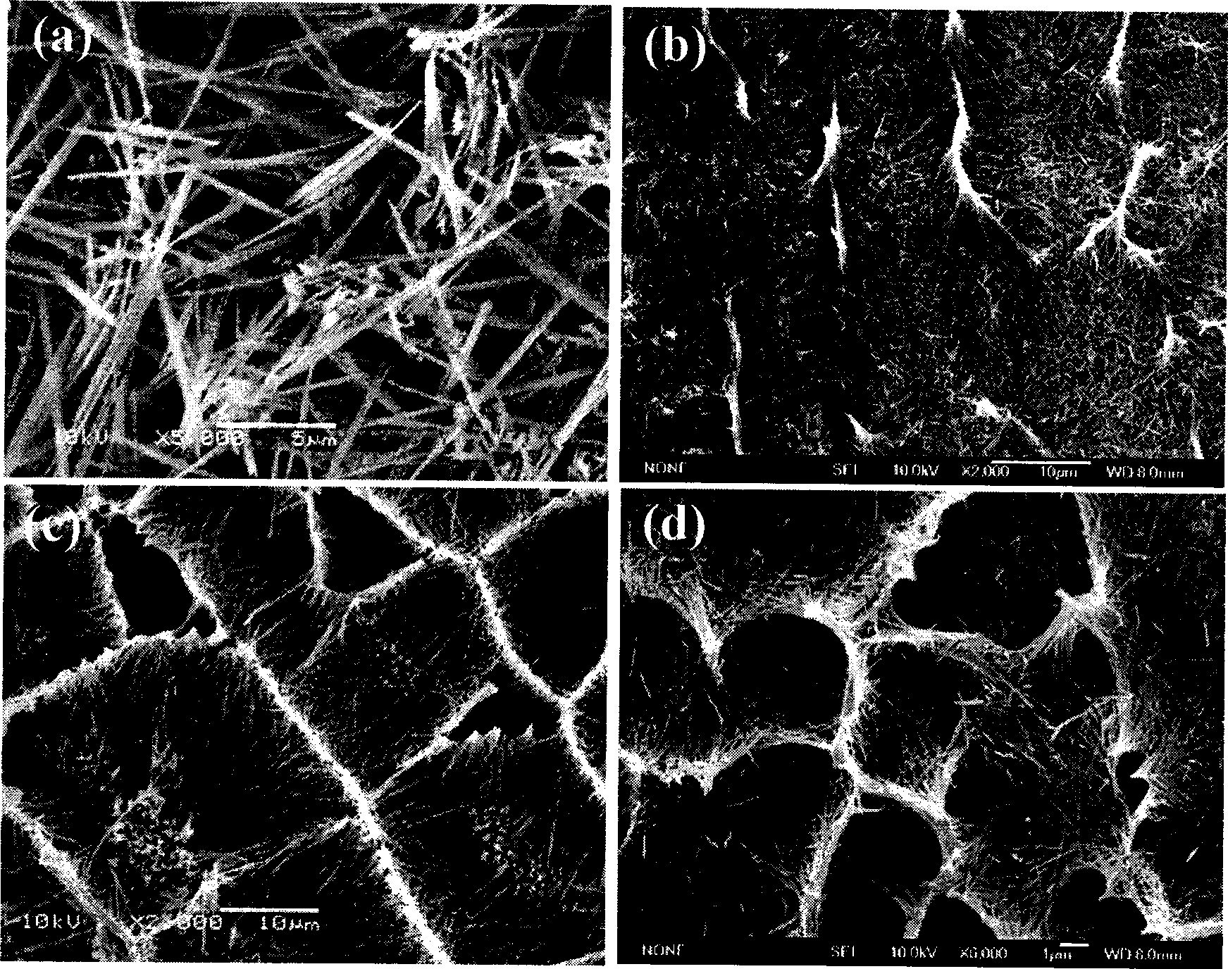 Honeycomb CuO nano material and preparation thereof