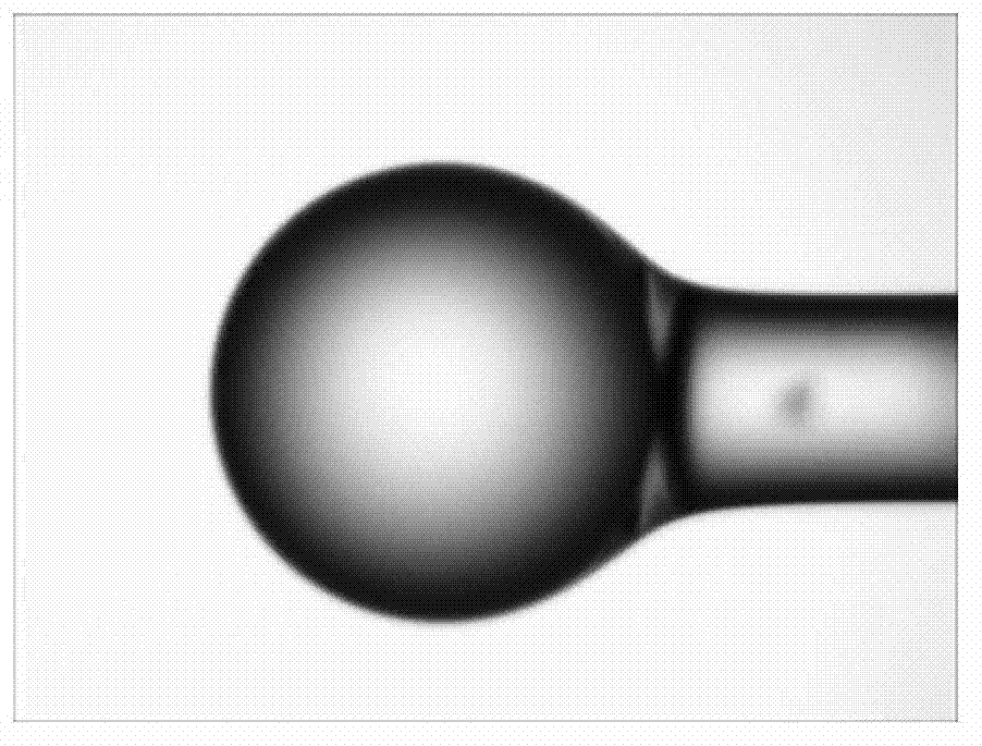 Preparation method of contact-type optical fiber micro probe based on optical fiber tapering technology