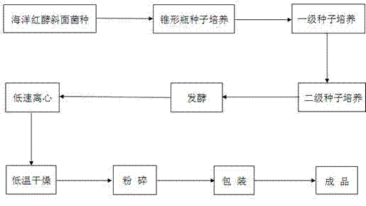 Technology of using ocean phaffiarodozyma for producing feed additive astaxanthin in fermentation mode