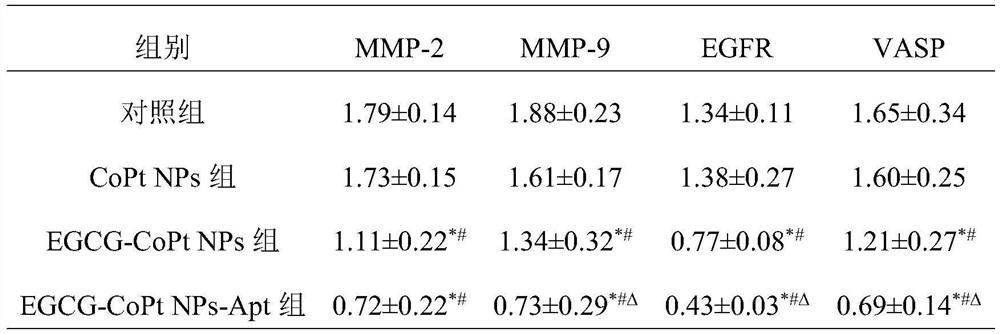 EGCG-CoPt NPs-Apt nanoparticles as well as preparation method and application thereof