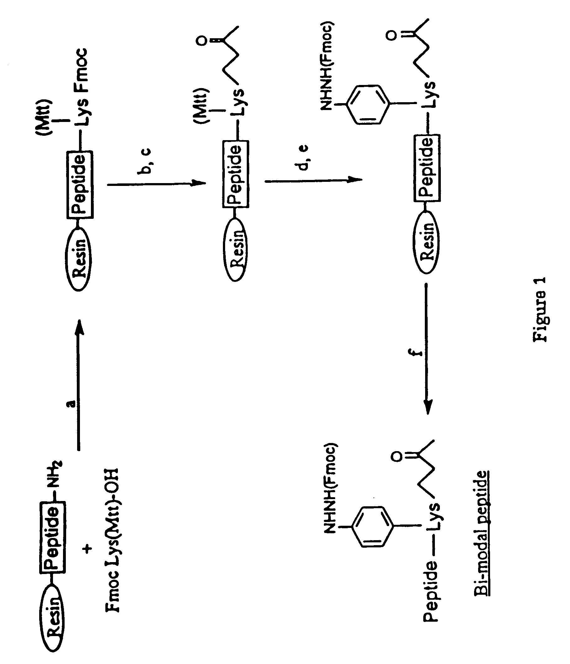 Synthetic peptides containing protective epitopes for the treatment and prevention of periodontitis associated with Porphyromonas gingivalis