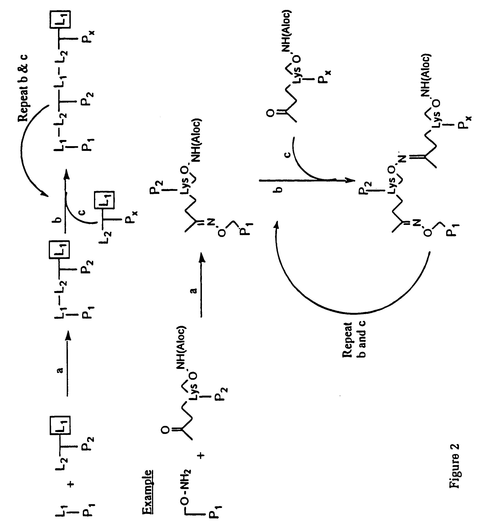 Synthetic peptides containing protective epitopes for the treatment and prevention of periodontitis associated with Porphyromonas gingivalis