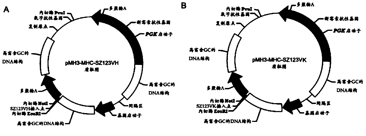 Human-mouse chimeric monoclonal antibody against human von Willebrand factor a3 region and its preparation method and application