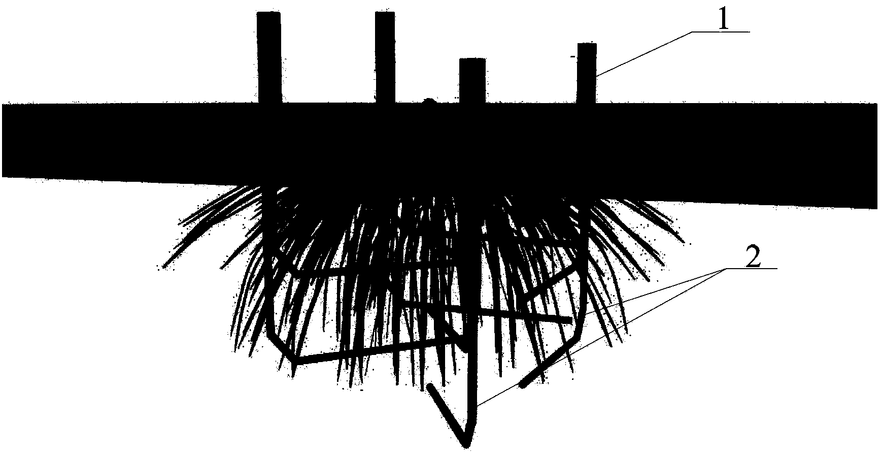 Crop root growth detection system and detection method