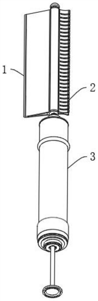 Facial beauty instrument