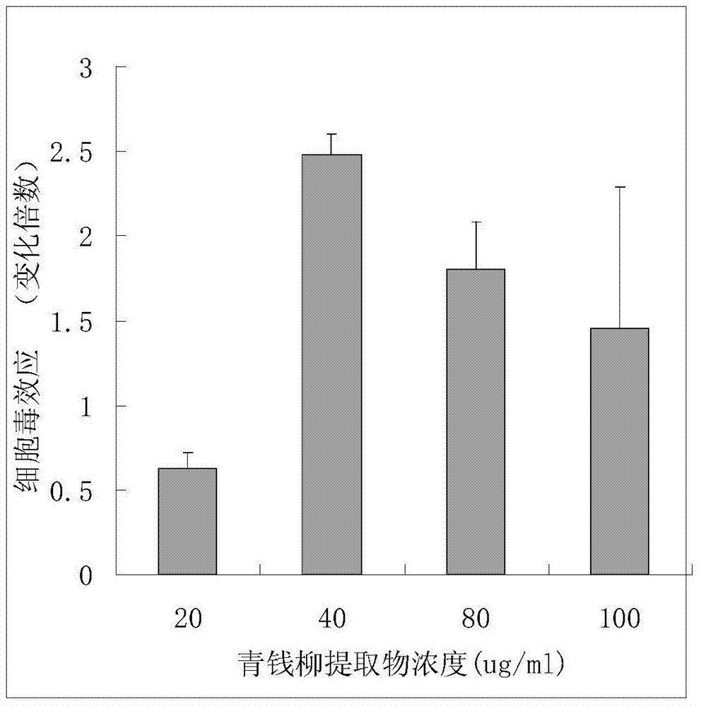 Application of cyclocarya paliurus extract in preparation of medicament for preventing and treating leukemia