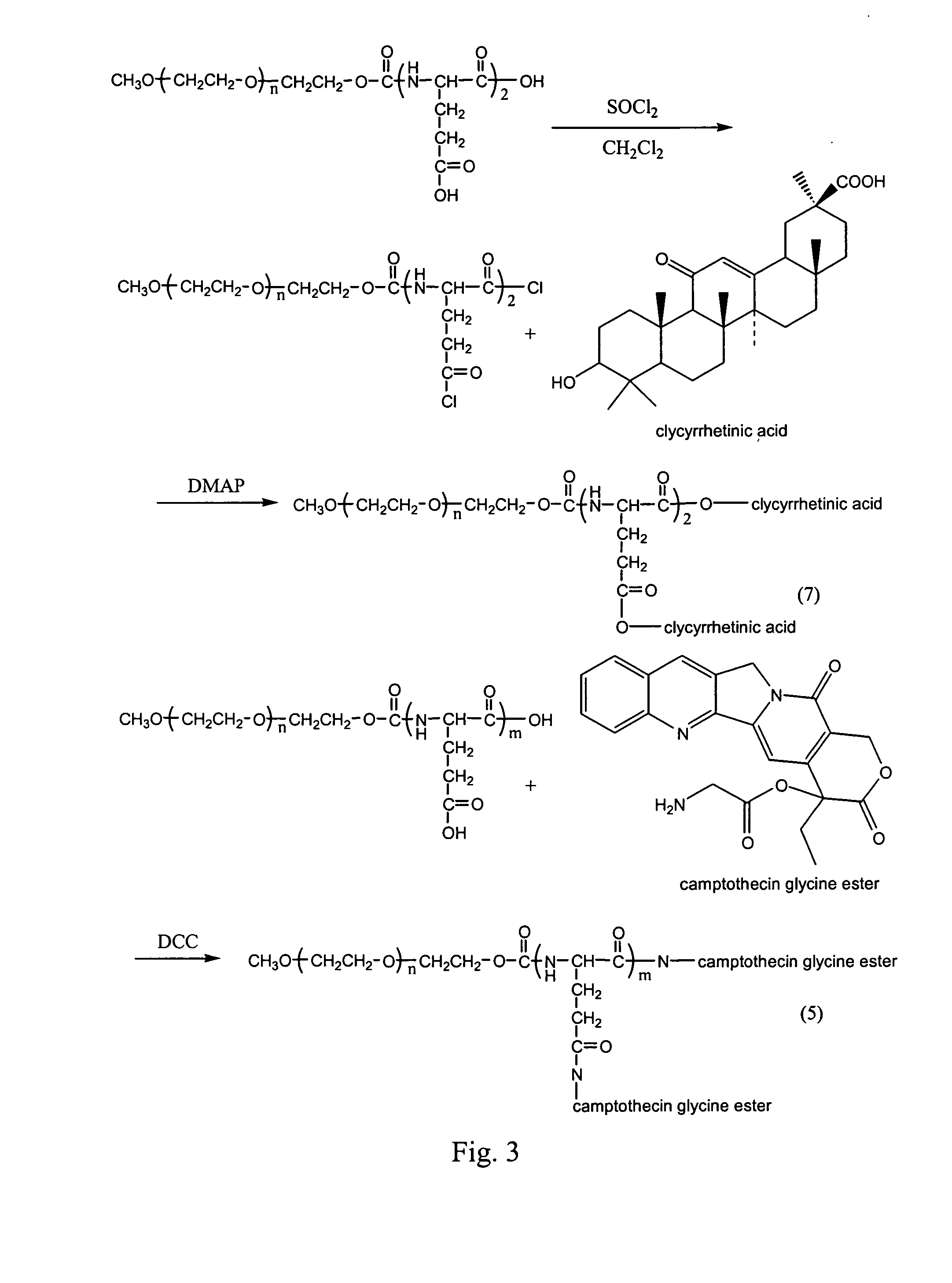 Compounds of hydrophilic polymer-polycarboxyl oligopeptide and medicines, medical composite comprising above compound and use of above compound in medicimes