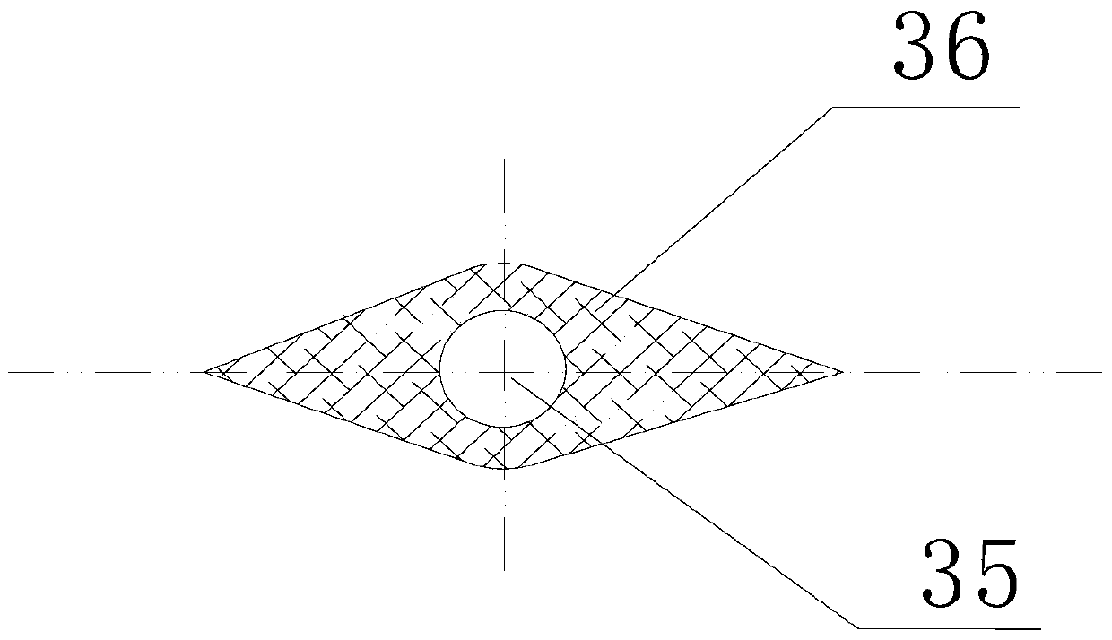 Composite board formed by co-extrusion of wood-plastic and foam layer and preparation method thereof