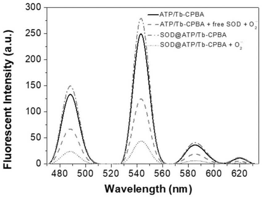 Preparation method and application of enzyme-integrated rare earth coordination polymer