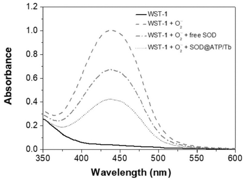 Preparation method and application of enzyme-integrated rare earth coordination polymer