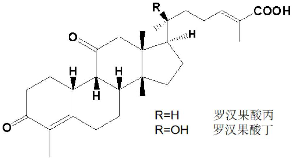 Method for separating various Siraitic acid monomers from momordica grosvenori roots by continuous method