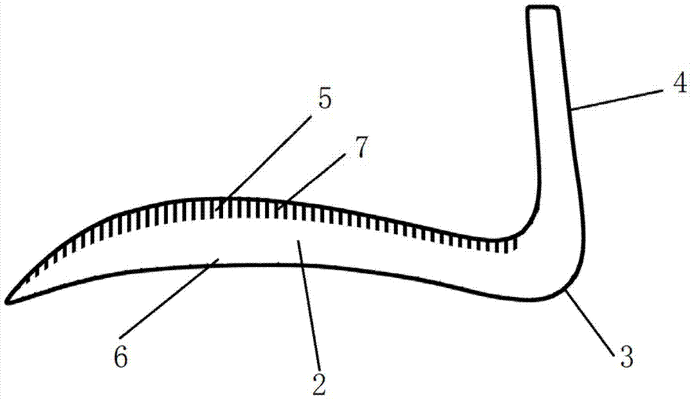 A kind of nasal prosthesis and processing method