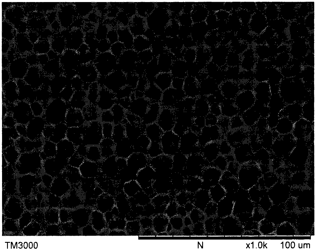 Preparation method of polyvinyl alcohol microcellular foam material