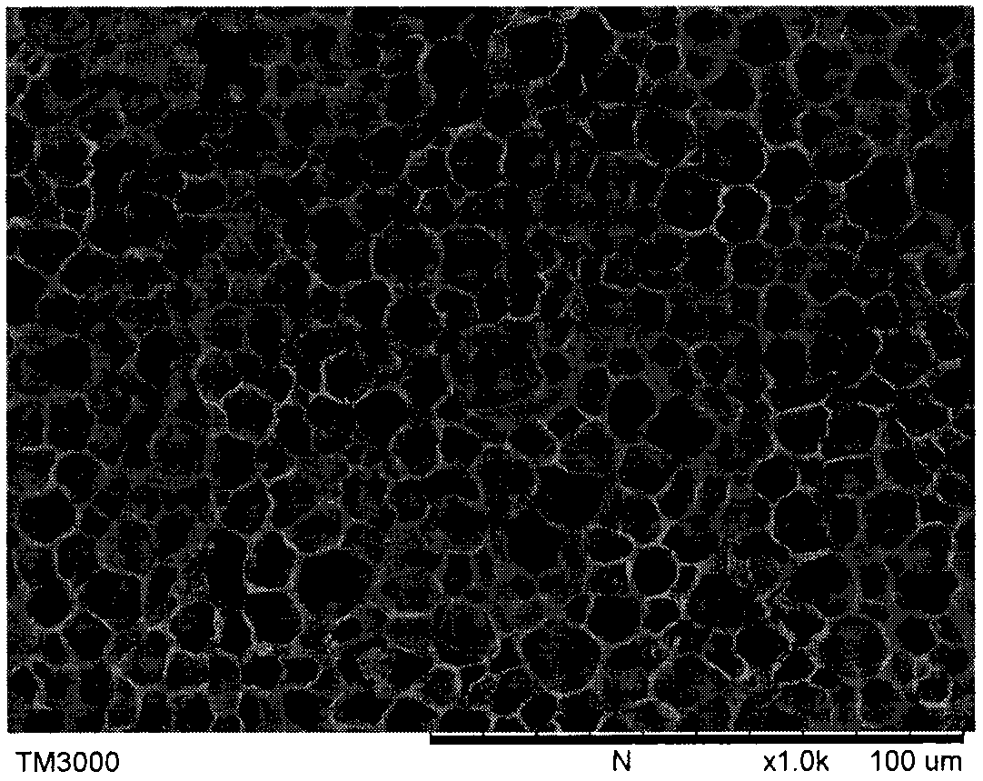 Preparation method of polyvinyl alcohol microcellular foam material