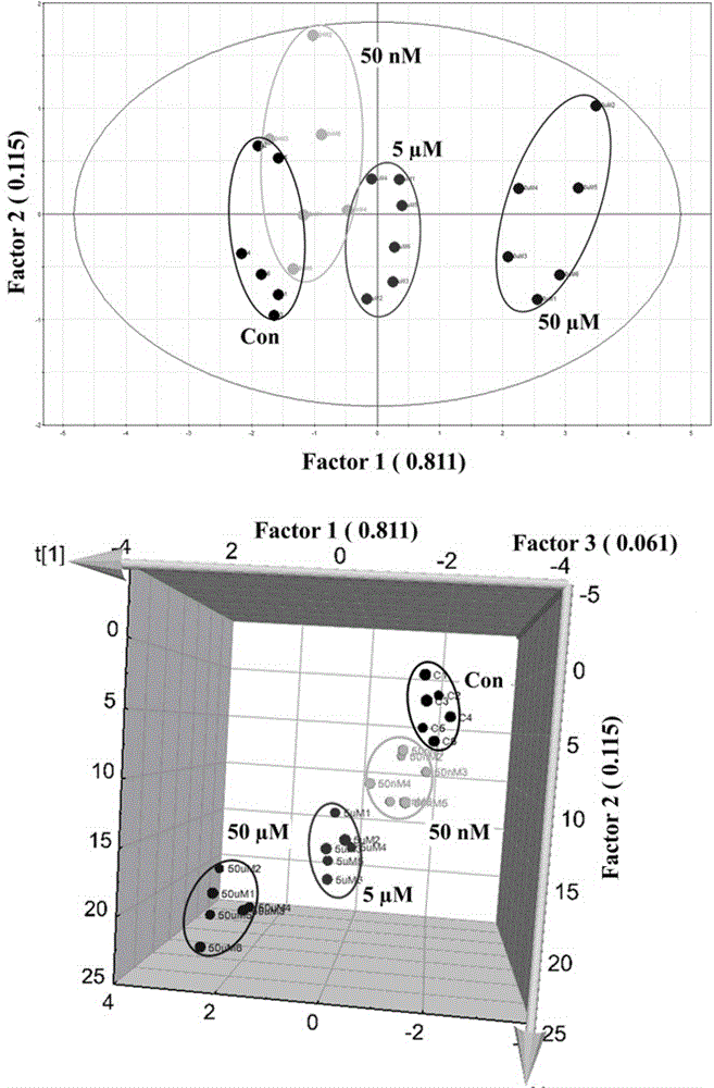 Preparation method of array fluorescent nano-cluster sensor and application of array fluorescent nano-cluster sensor to metal ion recognition