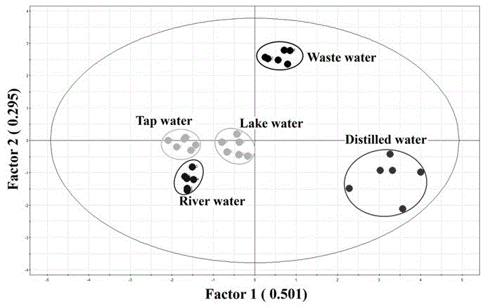 Preparation method of array fluorescent nano-cluster sensor and application of array fluorescent nano-cluster sensor to metal ion recognition