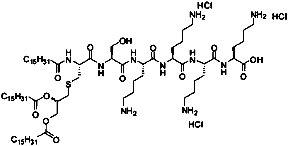 Toll-like receptor agonist mouthwash for preventing and treating oral ulcer