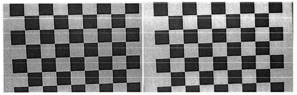 Face living body detection method and system