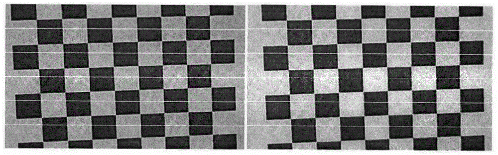 Face living body detection method and system