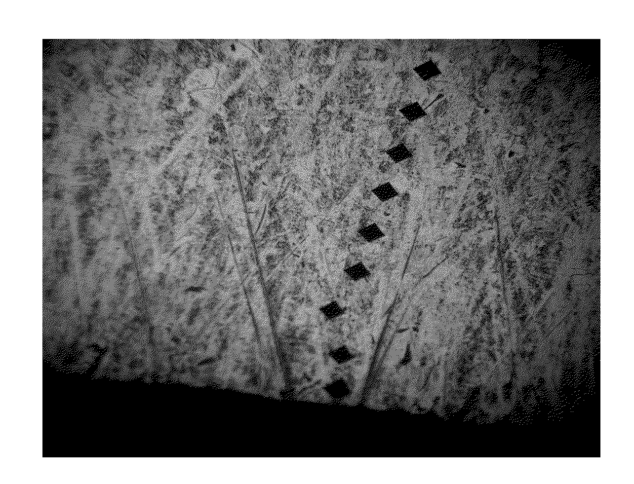 Nitrogen Alloyed Martensitic Stainless Steel and Process