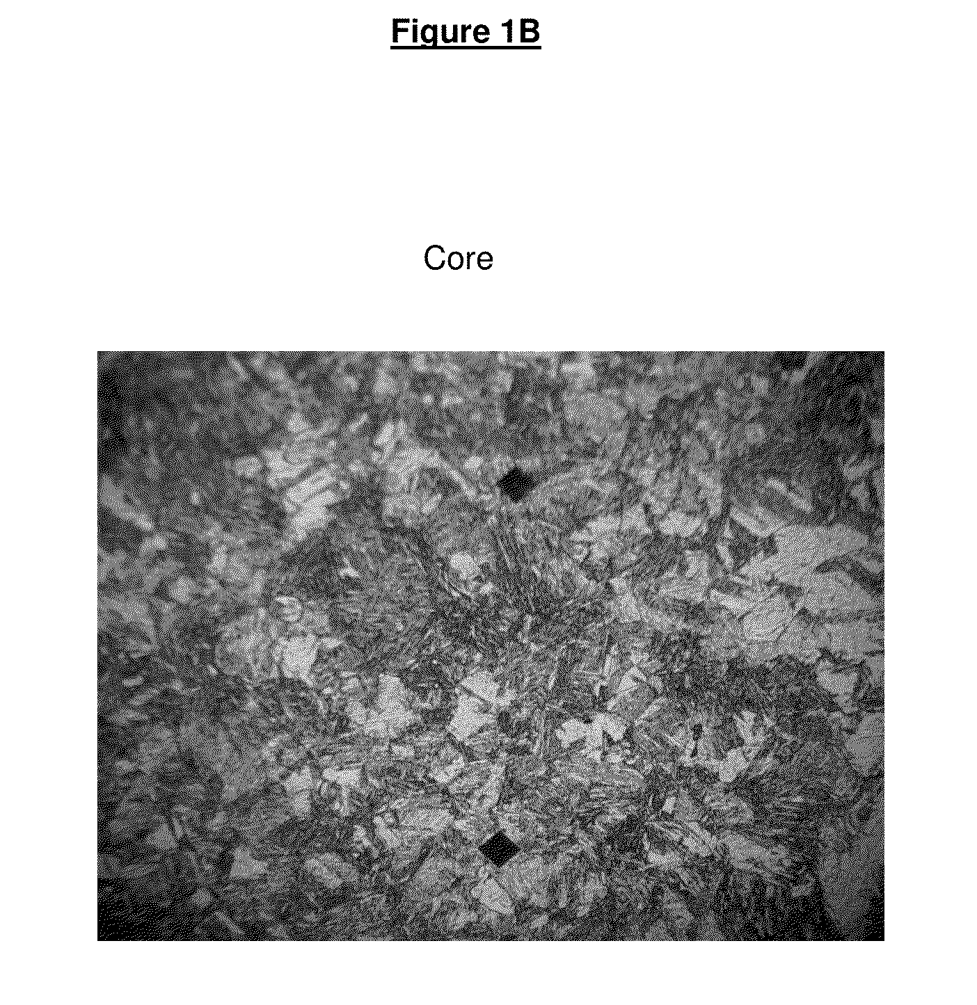 Nitrogen Alloyed Martensitic Stainless Steel and Process