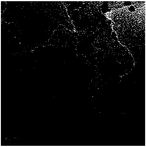 Preparation method of tin oxide-bacterial cellulose composite supported palladium-based fuel cell catalyst