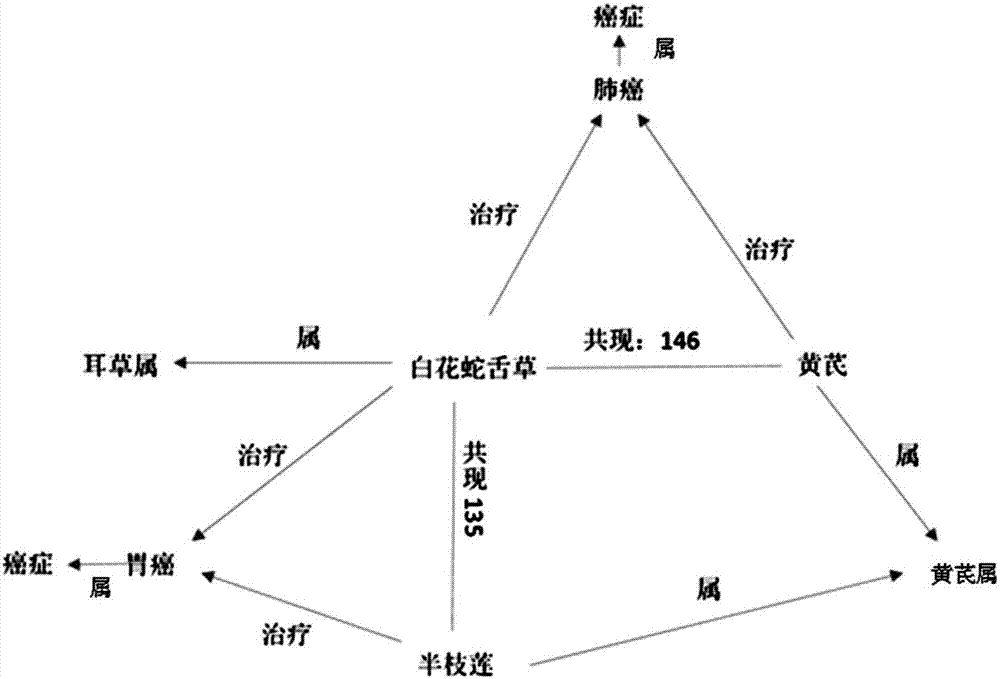 A traditional Chinese medicine knowledge graph, a method for building the same and a computer system