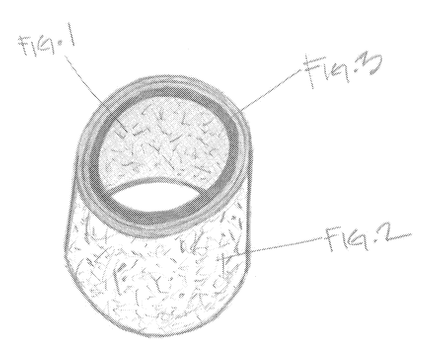 Acoustical modification device for musical instruments in the brass family